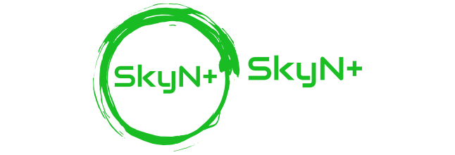 SkyN+, The IT Solutions Partner for your Business